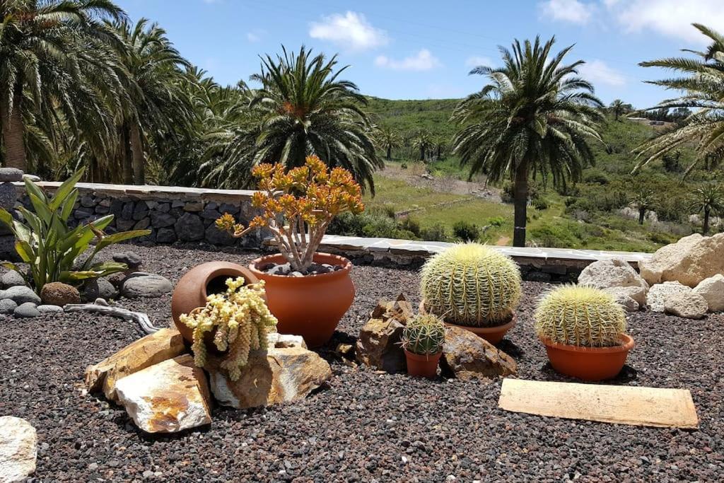 Casa Tara Ruhe Und Entspannung, Natur Pur Acardece Exterior photo